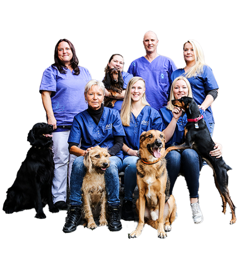 Tierarztpraxis Am Spichernplatz Dr Simone Schneider Und Daniela Schäfer Startseite - Tierarztpraxis Dr. med. vet. Ingo Schneider